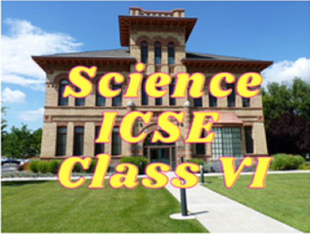 Science (ICSE) - Class VI